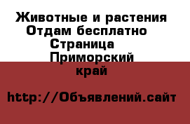 Животные и растения Отдам бесплатно - Страница 2 . Приморский край